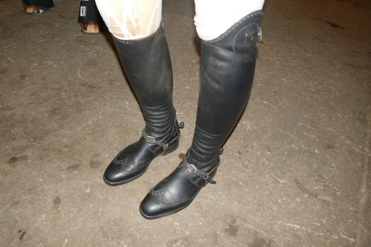 Tucchi Boots - leather riding boots at The Royal