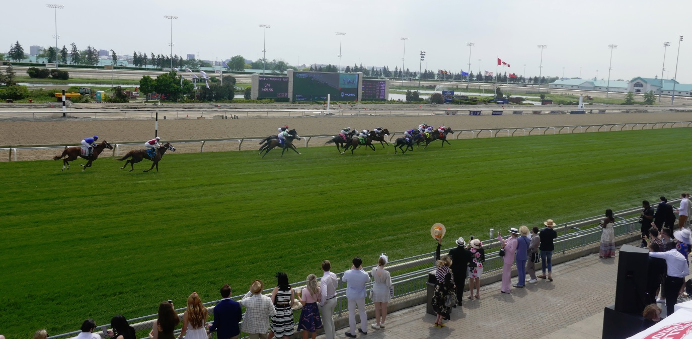horse race at Woodbine Racetrack - 2018 Greenwood Stakes